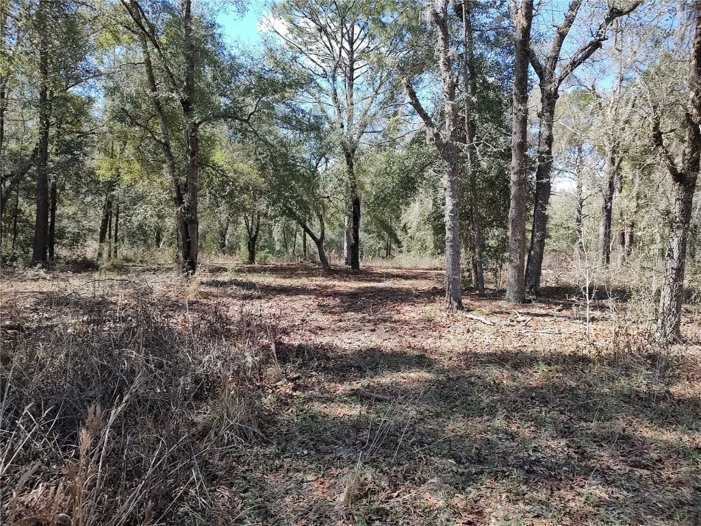 1546 SW 153rd Court SW Ocala FL 34481 OM695791 image21