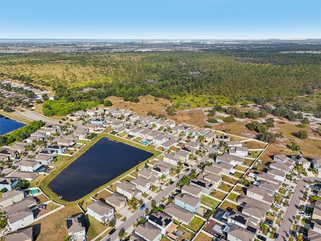 15461 Broad Brush Drive Sun City Center FL 33573 TB8451702 image44