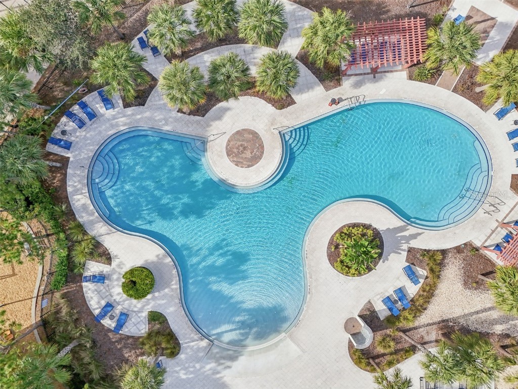 15461 Broad Brush Drive Sun City Center FL 33573 TB8451702 image46