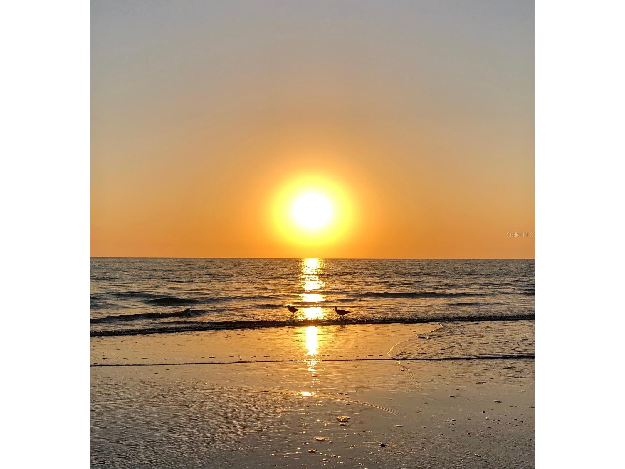 15462 Gulf Boulevard #1006 Madeira Beach FL 33708 - GULF OF AMERICAN TB8462523 image52