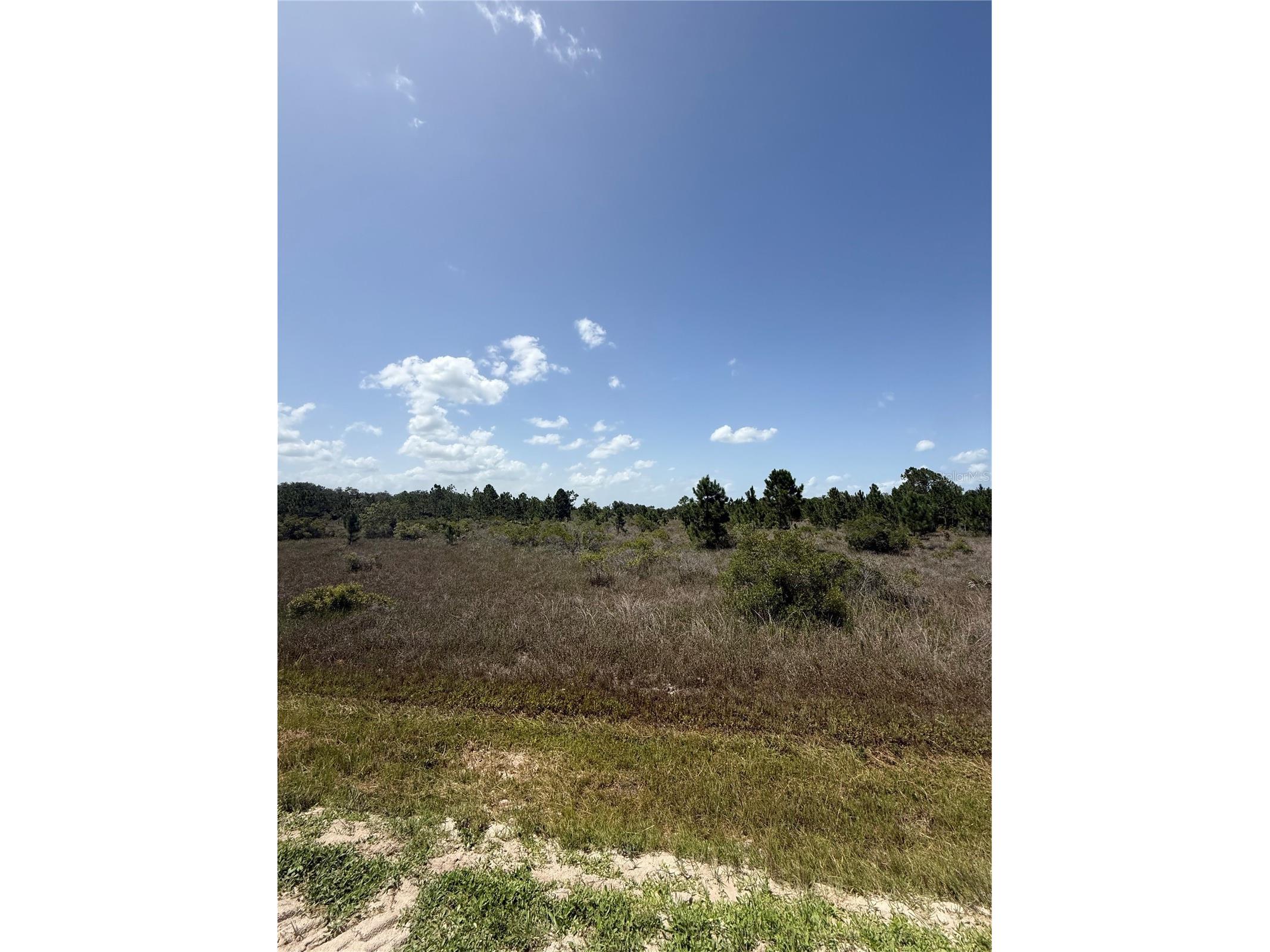 15463 NW 306th Street Okeechobee FL 34972 K4903603 image1