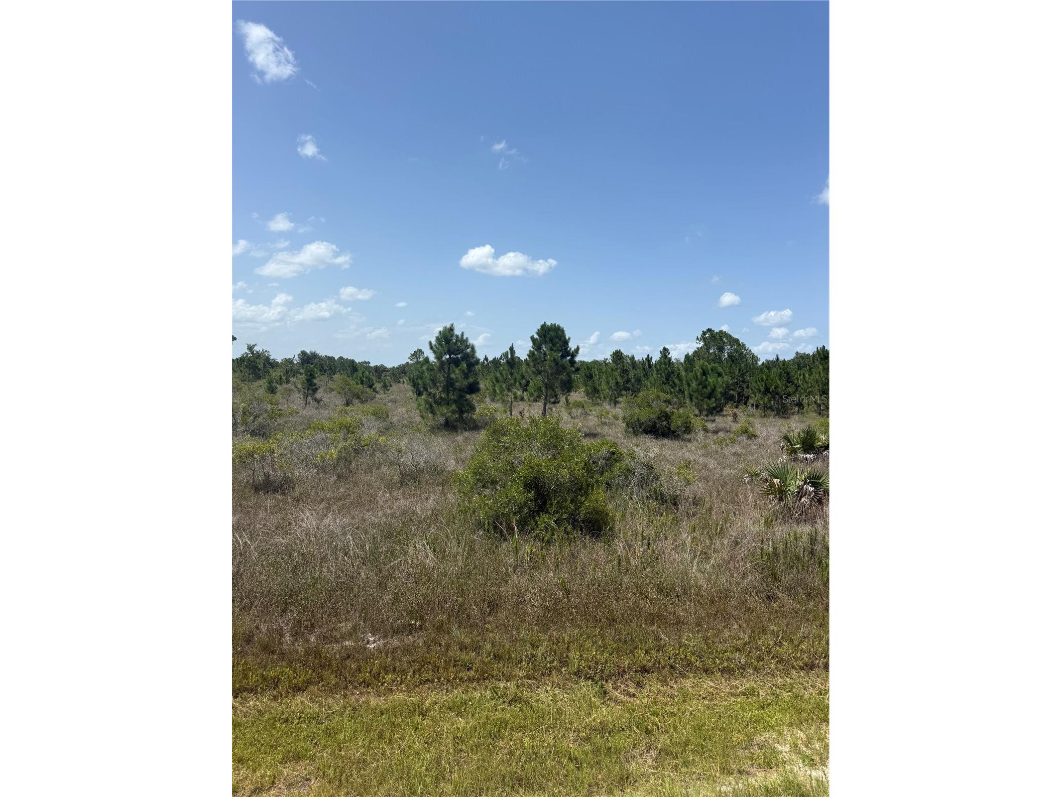 15463 NW 306th Street Okeechobee FL 34972 K4903603 image2