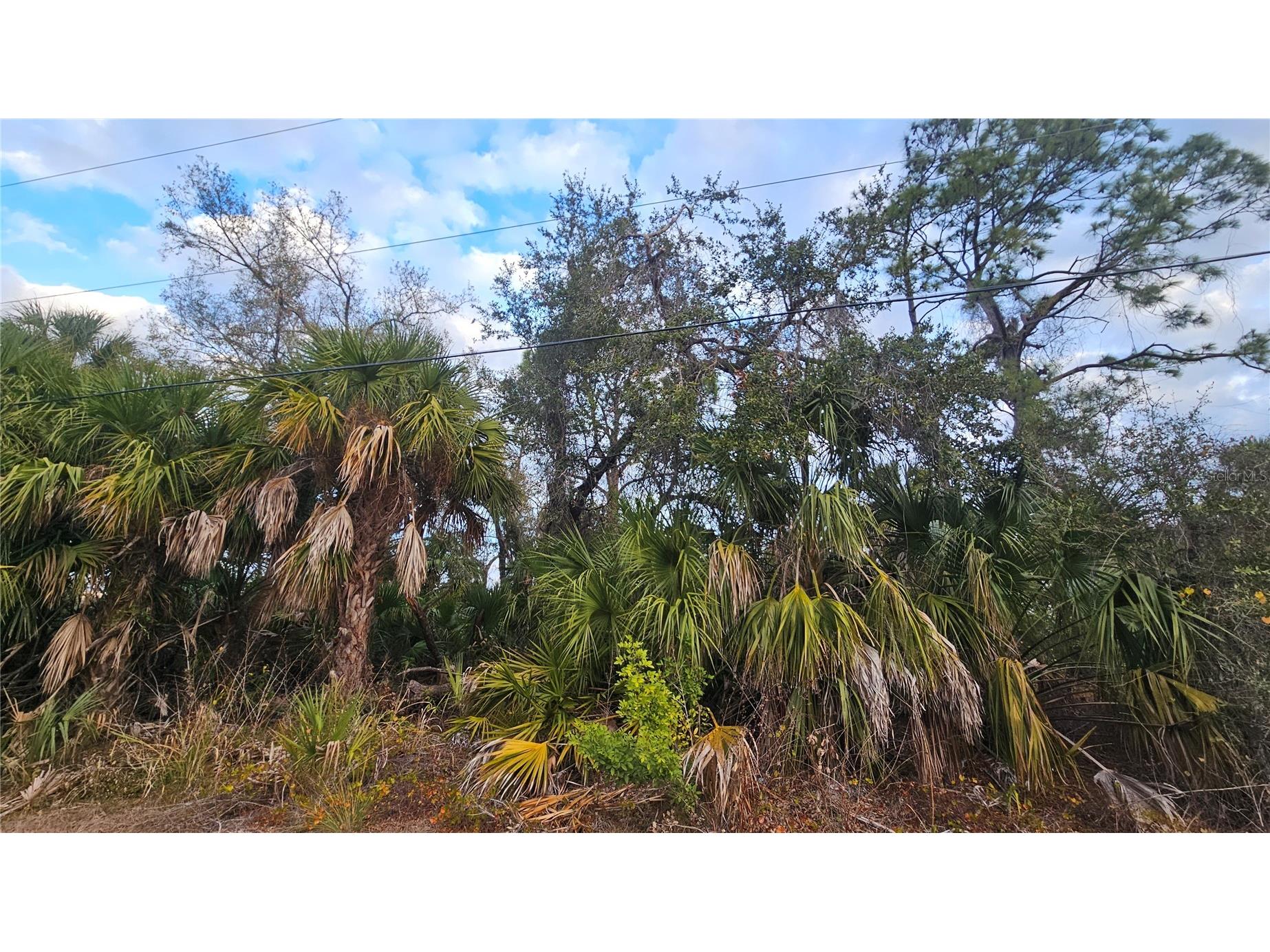 15464 Piedmont Avenue Port Charlotte FL 33954 C7521158 image3