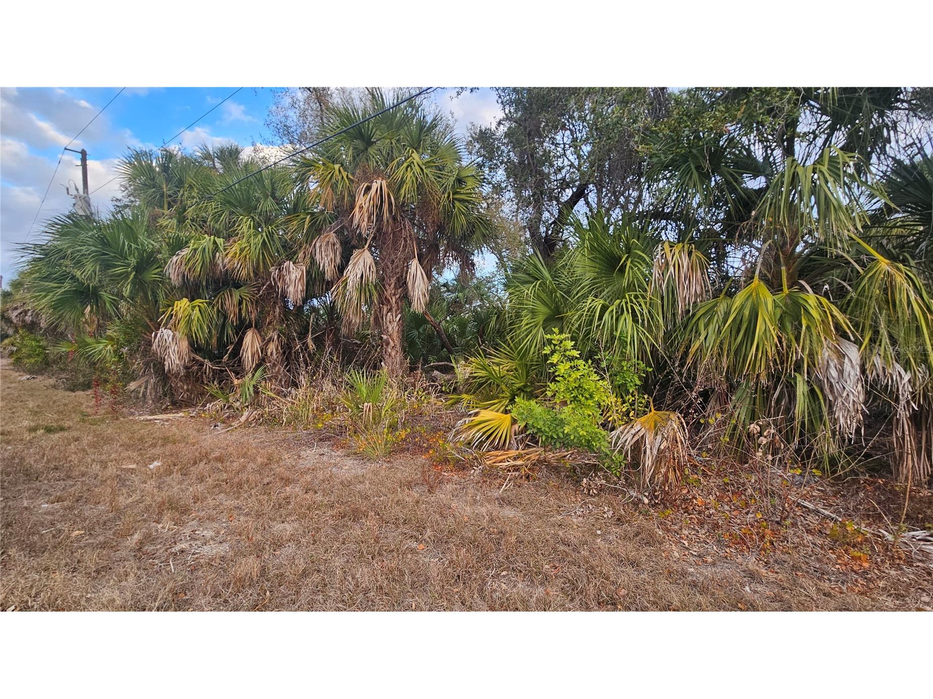 15464 Piedmont Avenue Port Charlotte FL 33954 C7521158 image6