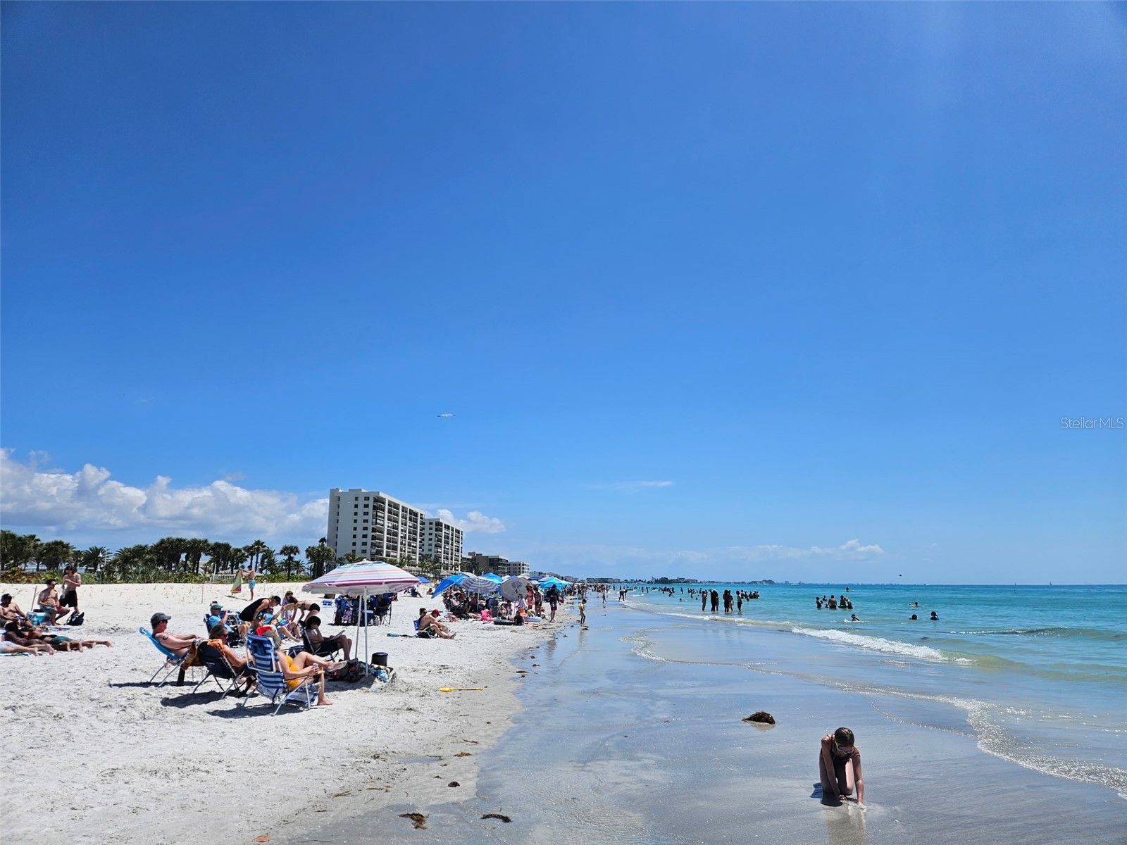 15467 Gulf Boulevard #8 Madeira Beach FL 33708 TB8498320 image3