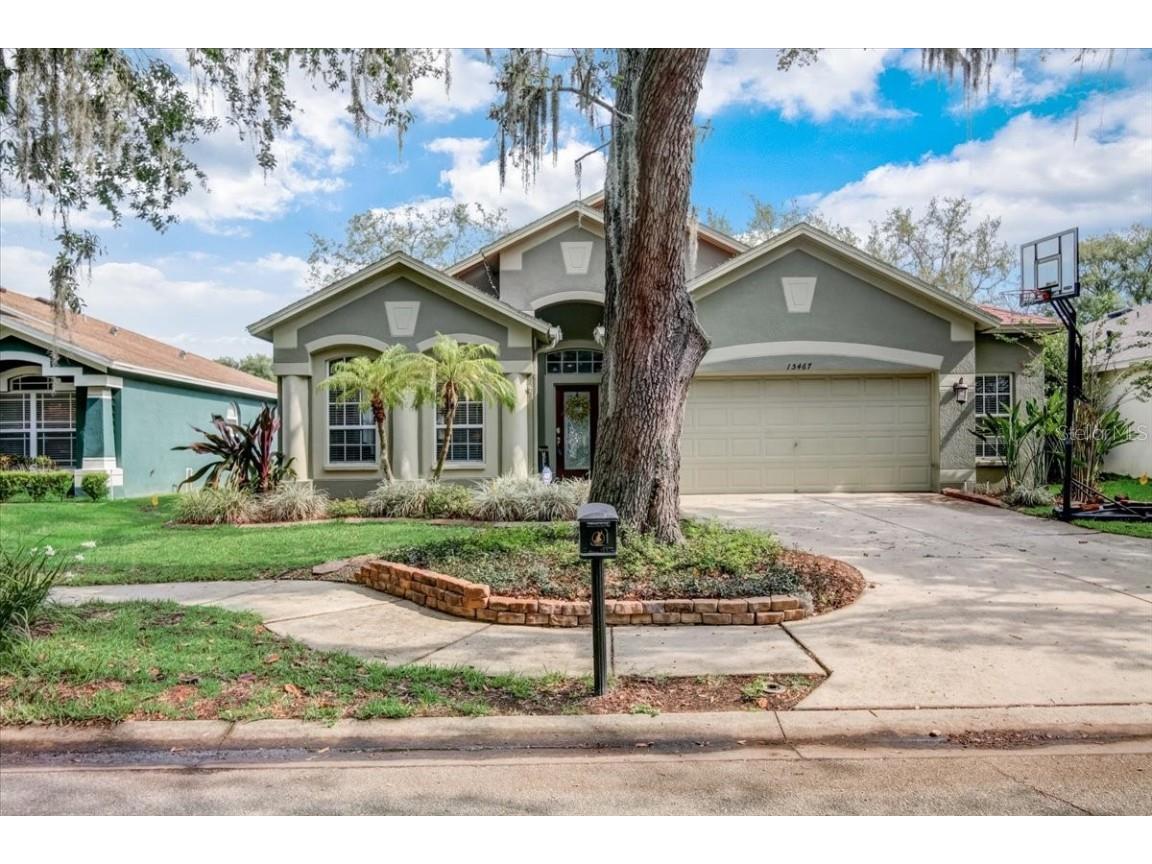 15467 Martinmeadow Drive Lithia FL 33547 T3442128 image1