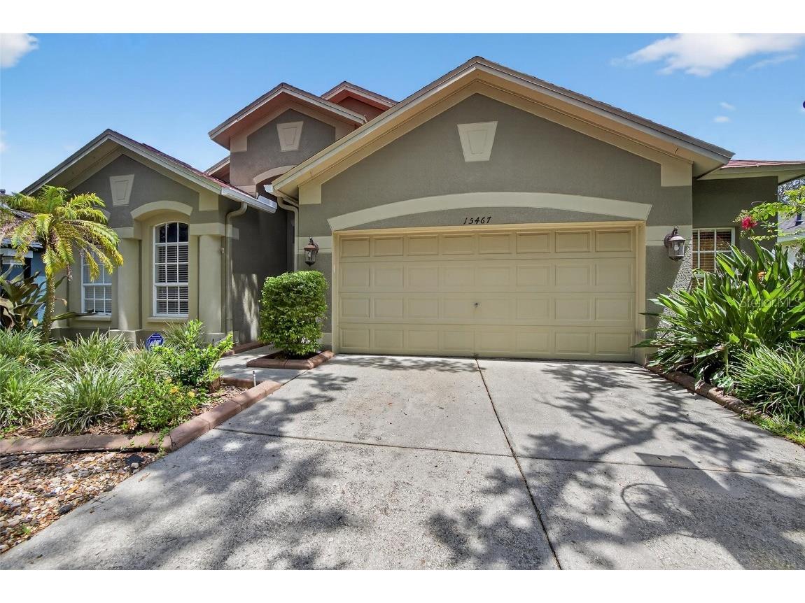 15467 Martinmeadow Drive Lithia FL 33547 TB8410009 image1