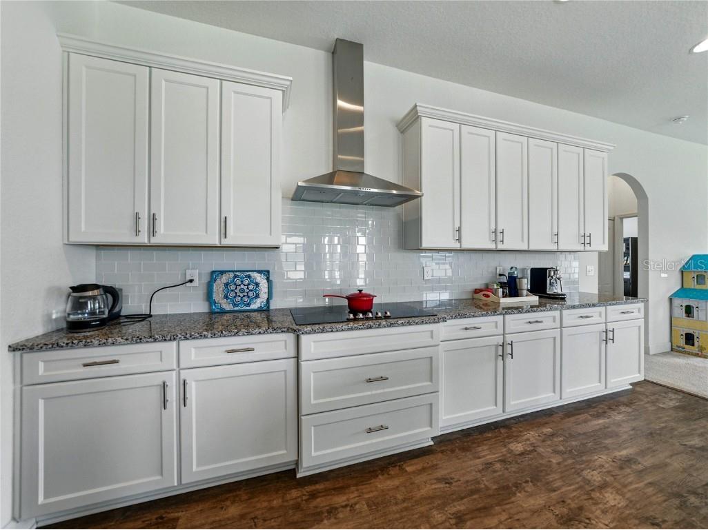 1547 Cordgrass Way Lakeland FL 33813 L4953222 image27