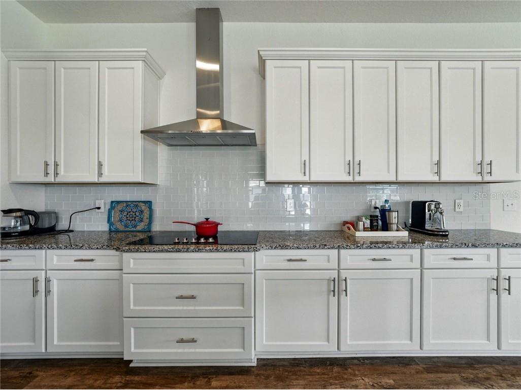 1547 Cordgrass Way Lakeland FL 33813 L4953222 image28