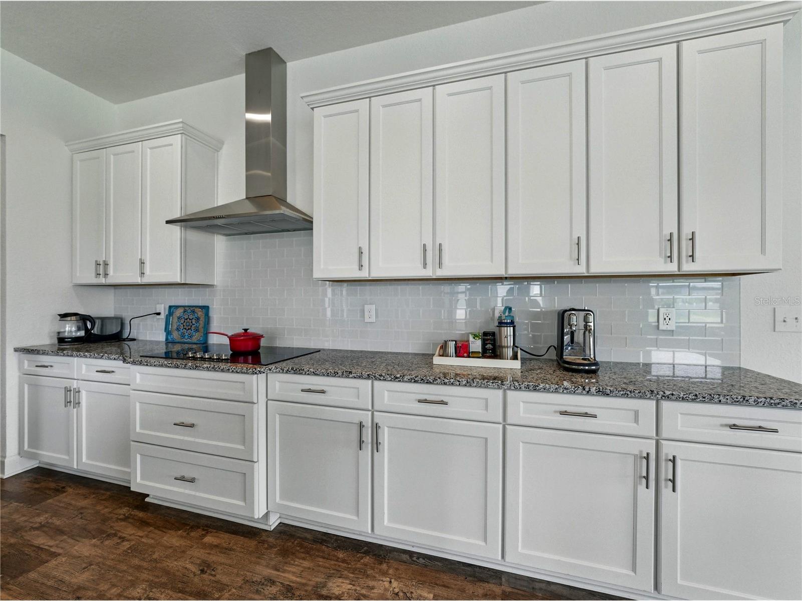 1547 Cordgrass Way Lakeland FL 33813 L4962382 image28