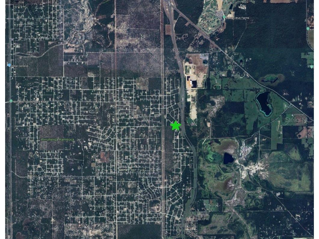 15470 Cave Swallow Road Brooksville FL 34614 O6402531 image3
