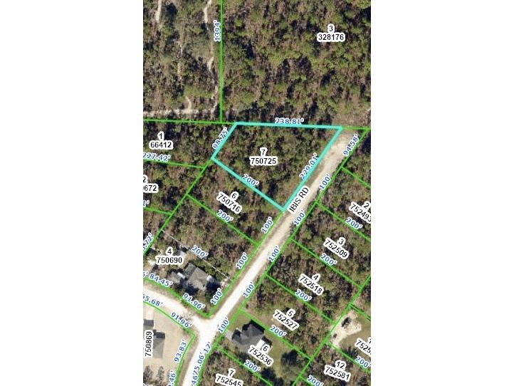 15471 Ibis Road Weeki Wachee FL 34614 W7858389 image1