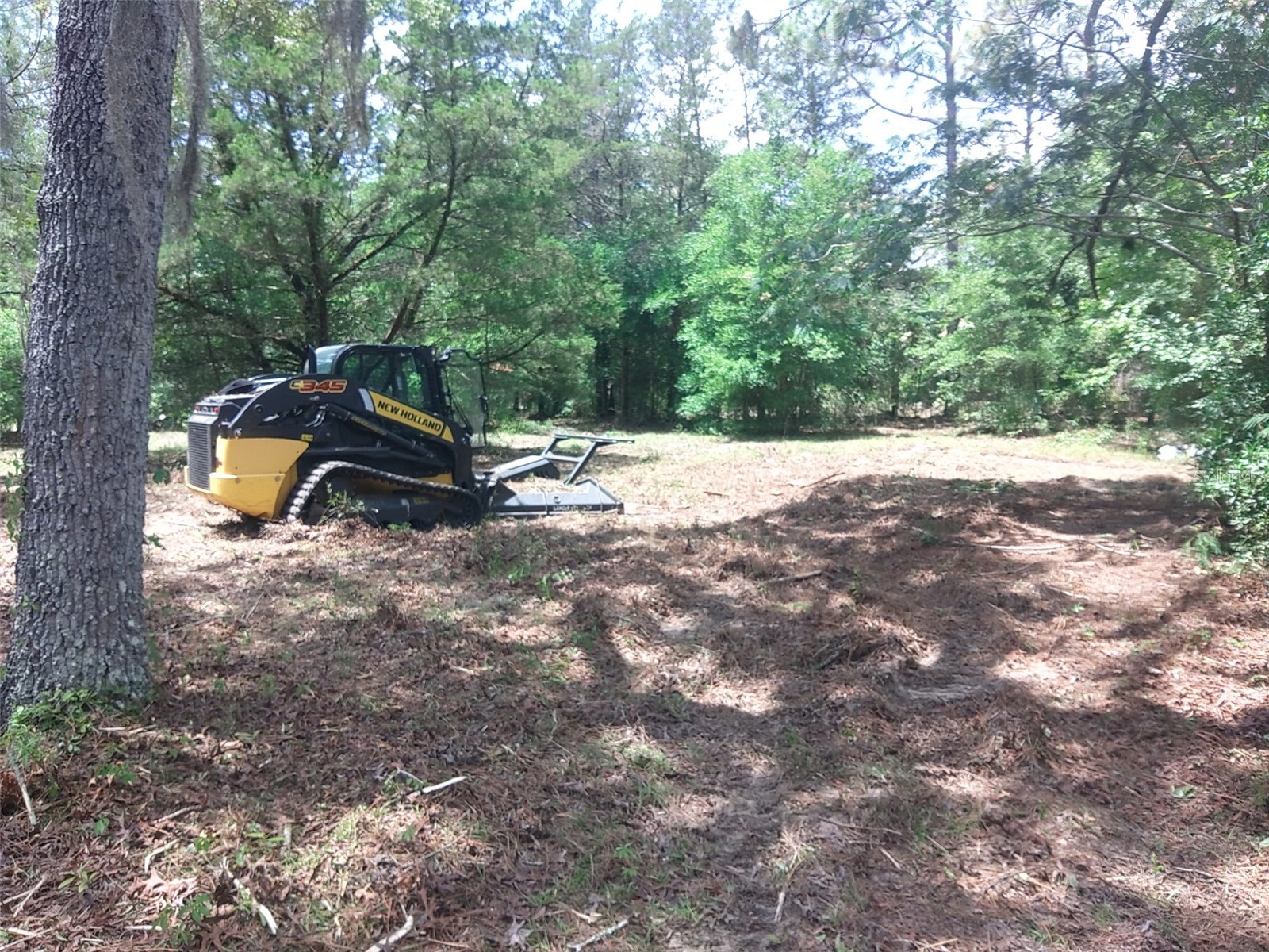 15475 SW 36th Street Ocala FL 34481 OM726026 image1