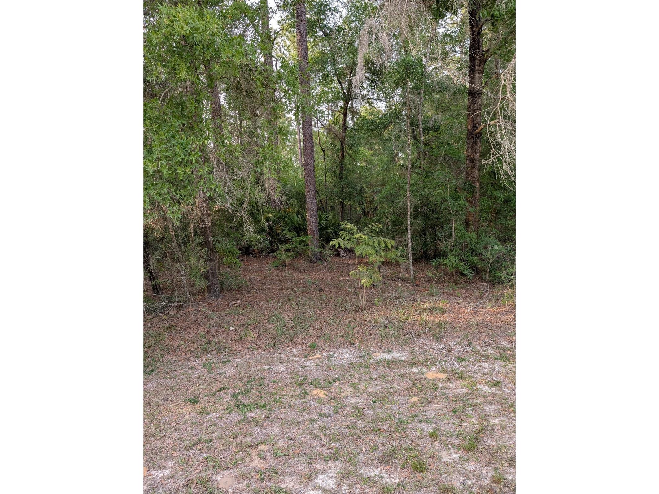 15475 SW 36th Street Ocala FL 34481 OM726026 image5