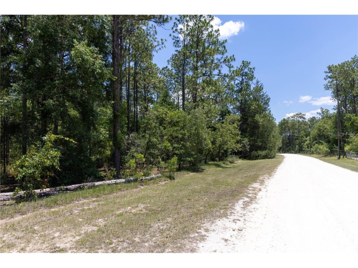 15475 SW 36th Street Ocala FL 34481 TB8441126 image5