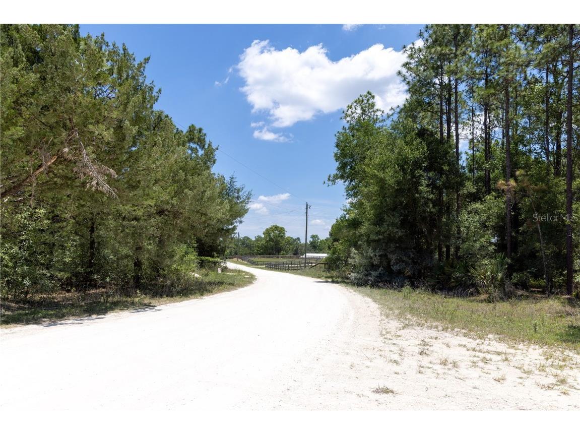 15475 SW 36th Street Ocala FL 34481 TB8441126 image6