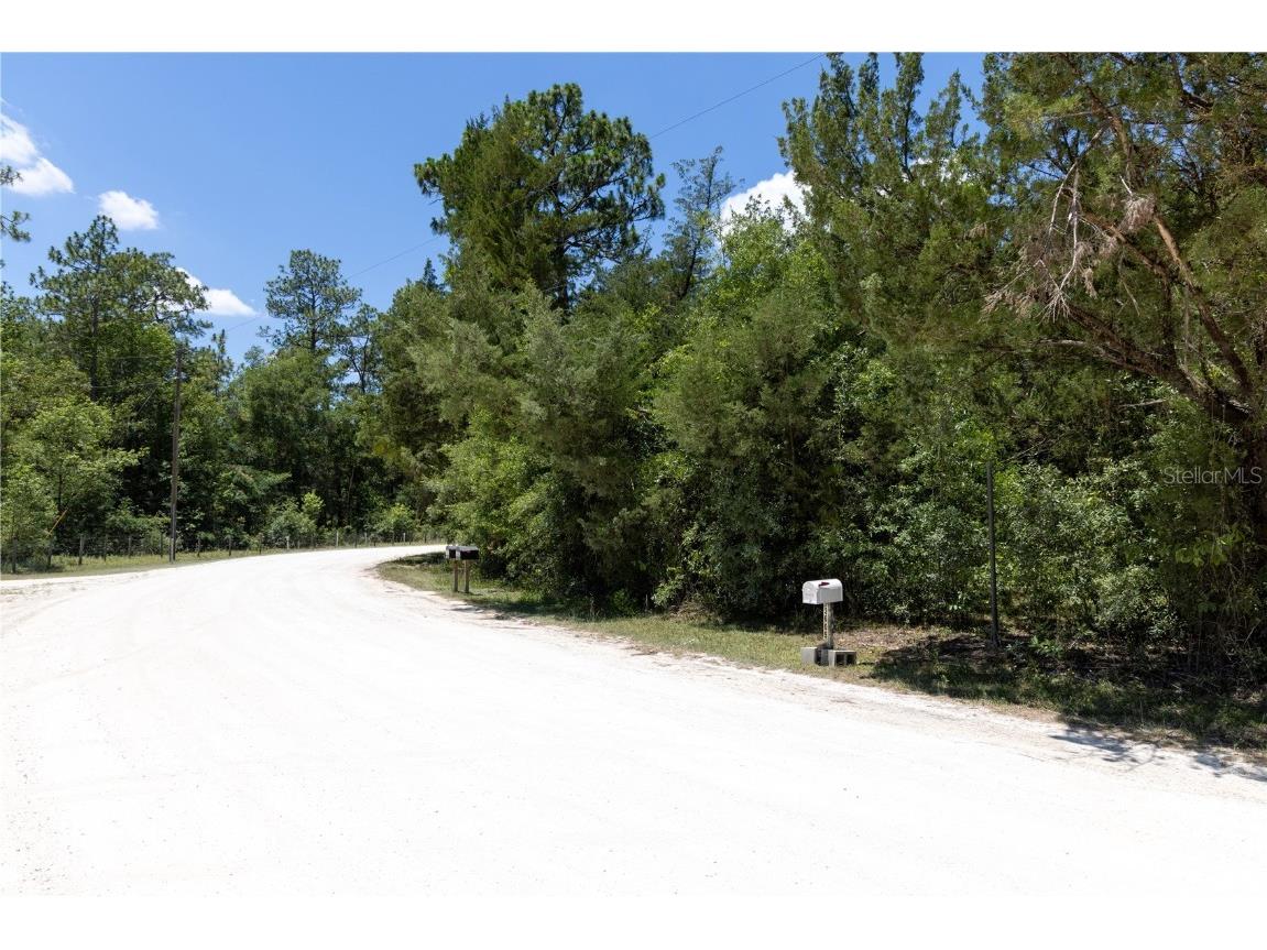 15475 SW 36th Street Ocala FL 34481 TB8441126 image7
