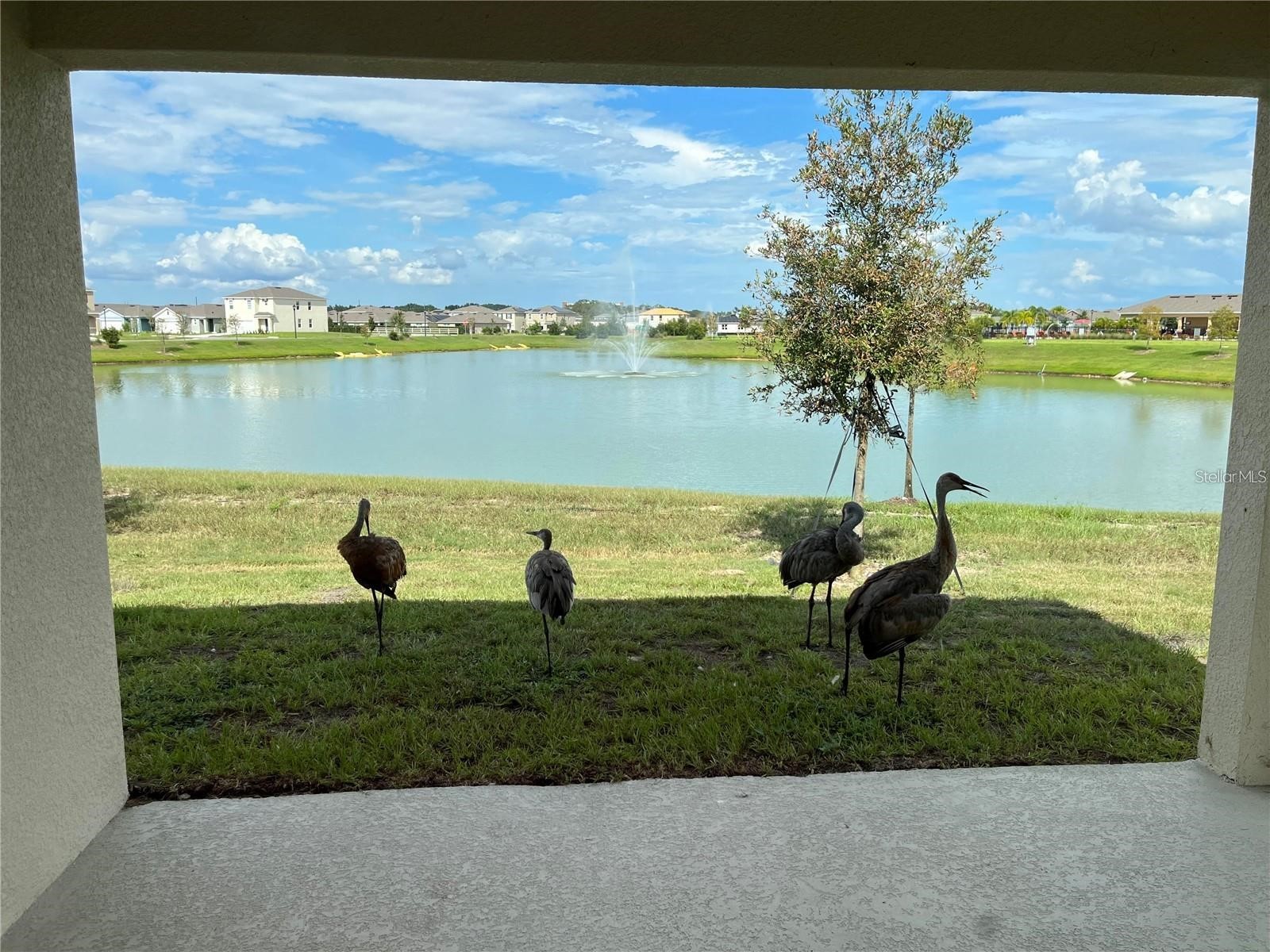 1548 Catbriar Way Davenport FL 33837 O6406245 image25