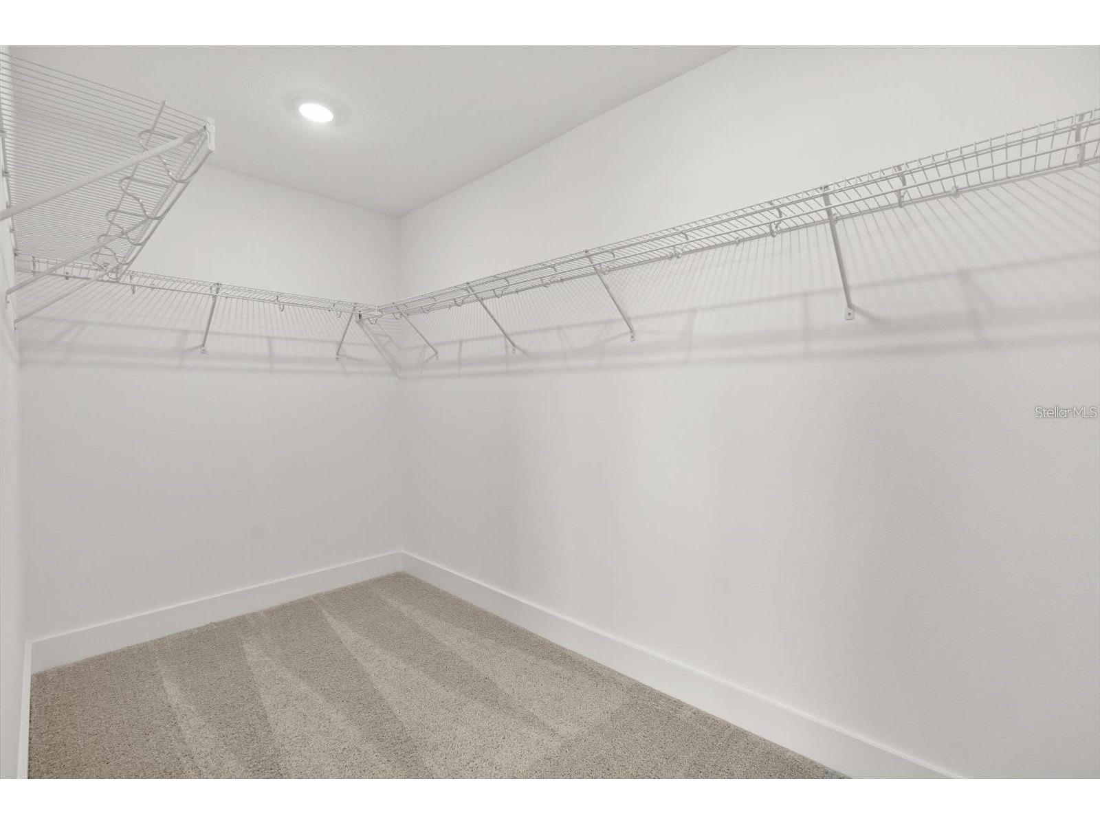 15489 Hamlin Park Drive Winter Garden FL 34787 O6390003 image16