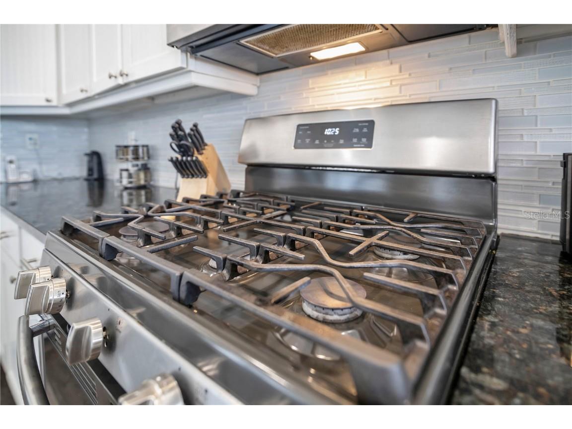 1549 Corolla Court Reunion FL 34747 O6274124 image21