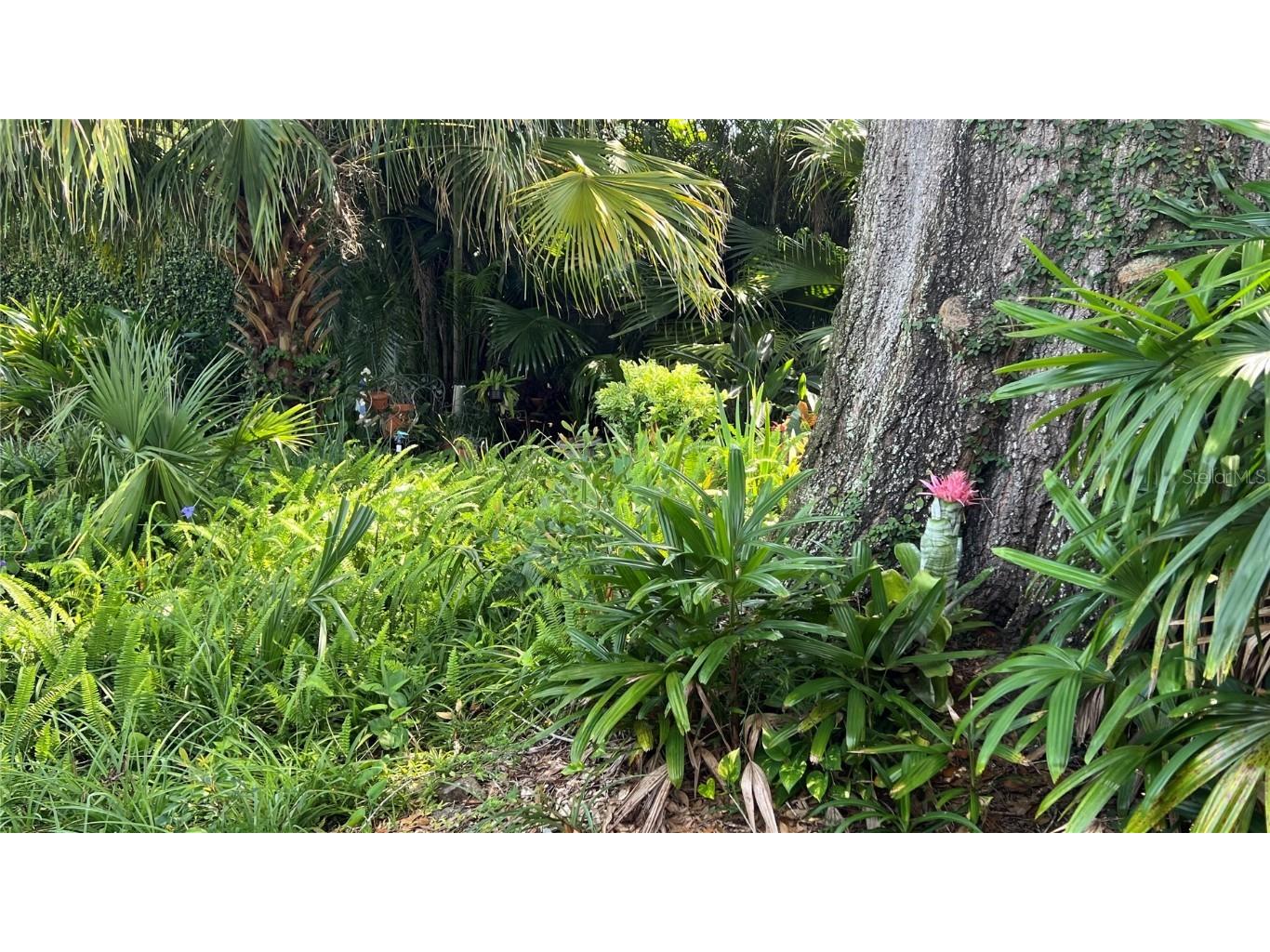 1549 Drexel Ave Ne Winter Haven FL 33881 P4936276 image51