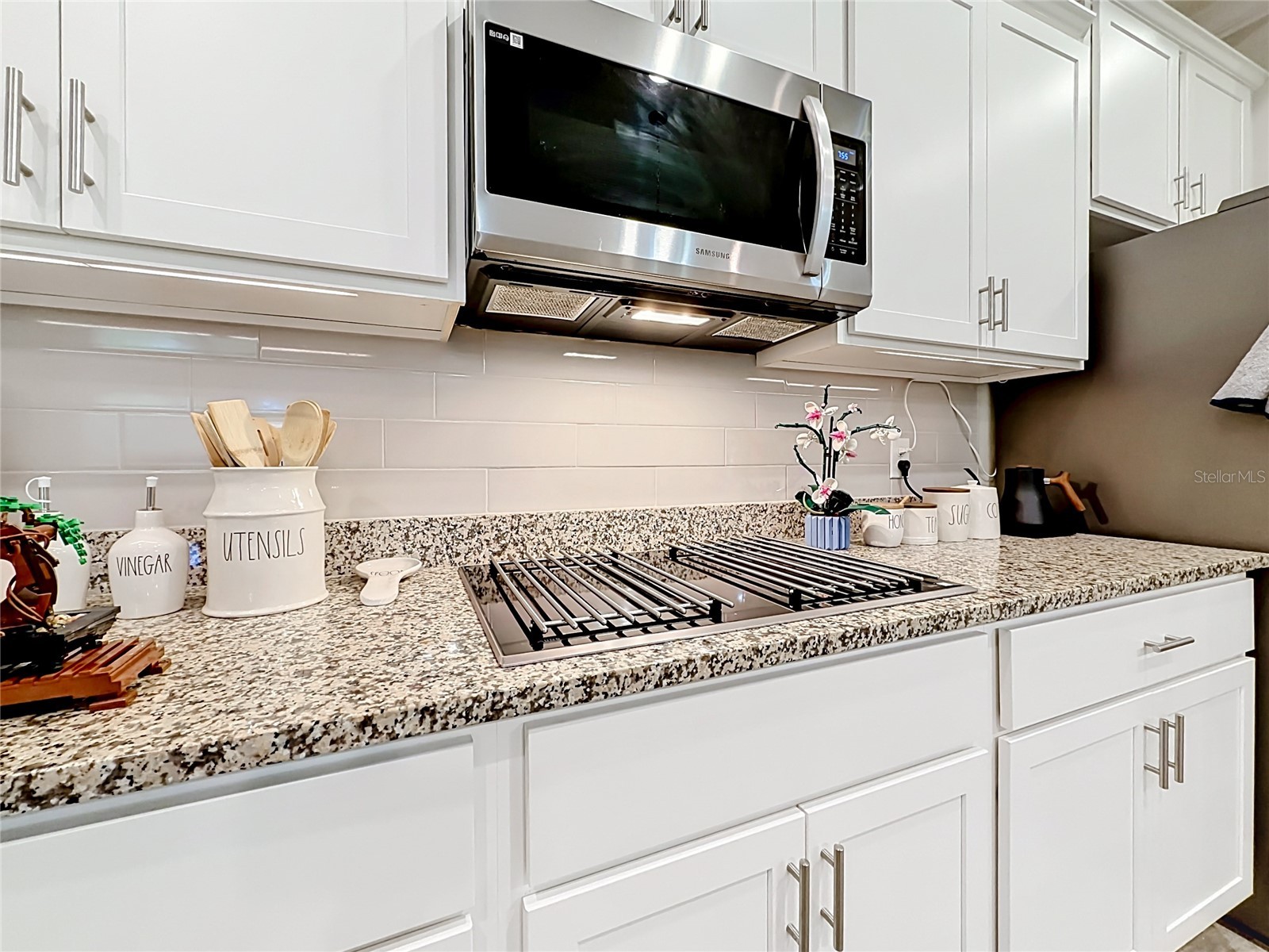 1549 Lewis Road Fruitland Park FL 34731 O6412455 image21