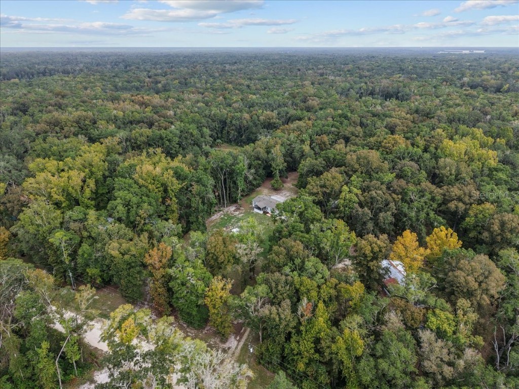 1549 NE 642nd Street Old Town FL 32680 W7879894 image35