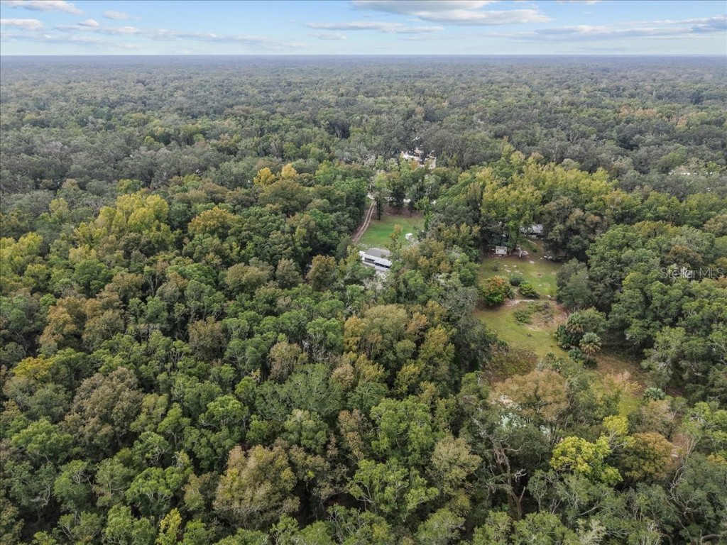 1549 NE 642nd Street Old Town FL 32680 W7879894 image37