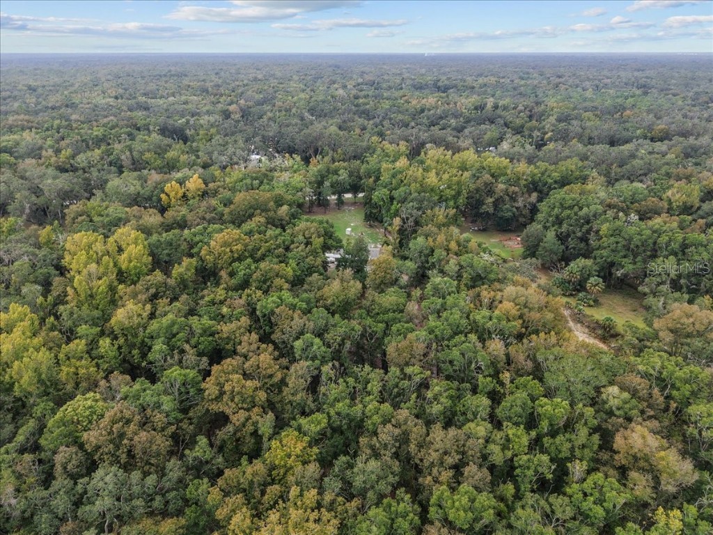 1549 NE 642nd Street Old Town FL 32680 W7879894 image38