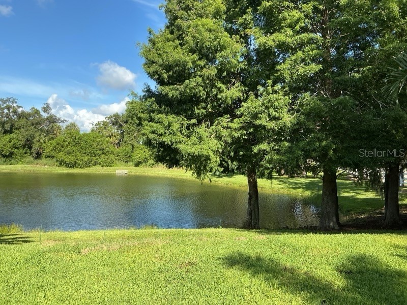 1549 Westover Avenue Parrish FL 34219 A4685852 image52