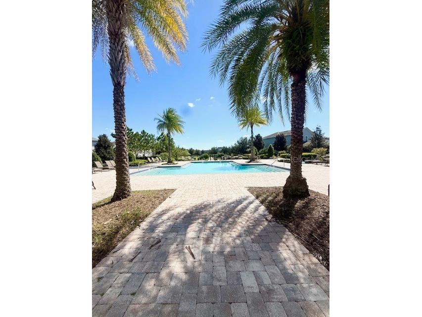 15491 Sugar Citrus Drive Winter Garden FL 34787 O6347190 image35