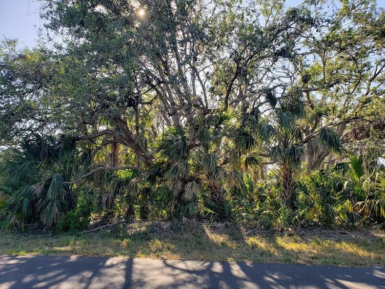 15492 Chamberlain Boulevard Port Charlotte FL 33953 A4566734 image3