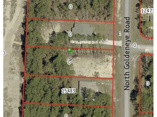 15493 Penn State Road Brooksville FL 34614 TB8469357 image2