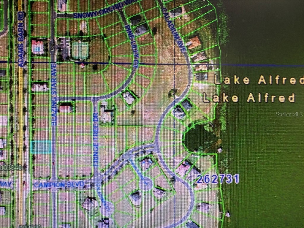 155 Blazing Star Avenue Lake Alfred FL 33850 - LAKE ALFRED TB8444281 image10