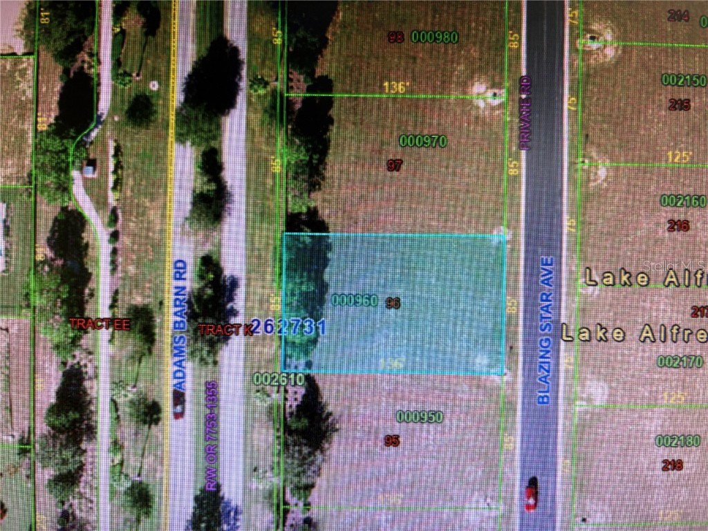 155 Blazing Star Avenue Lake Alfred FL 33850 - LAKE ALFRED TB8444281 image11