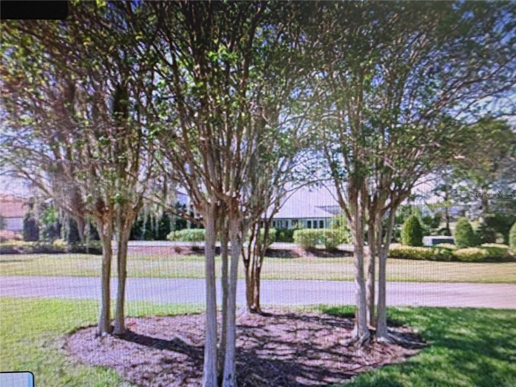 155 Blazing Star Avenue Lake Alfred FL 33850 - LAKE ALFRED TB8444281 image3
