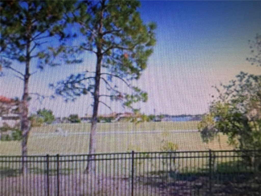155 Blazing Star Avenue Lake Alfred FL 33850 - LAKE ALFRED TB8444281 image4