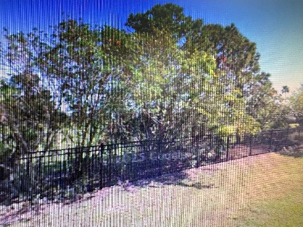 155 Blazing Star Avenue Lake Alfred FL 33850 - LAKE ALFRED TB8444281 image6