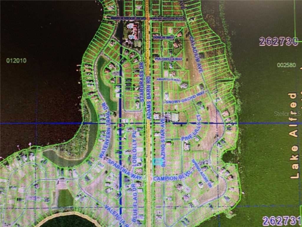 155 Blazing Star Avenue Lake Alfred FL 33850 - LAKE ALFRED TB8444281 image9