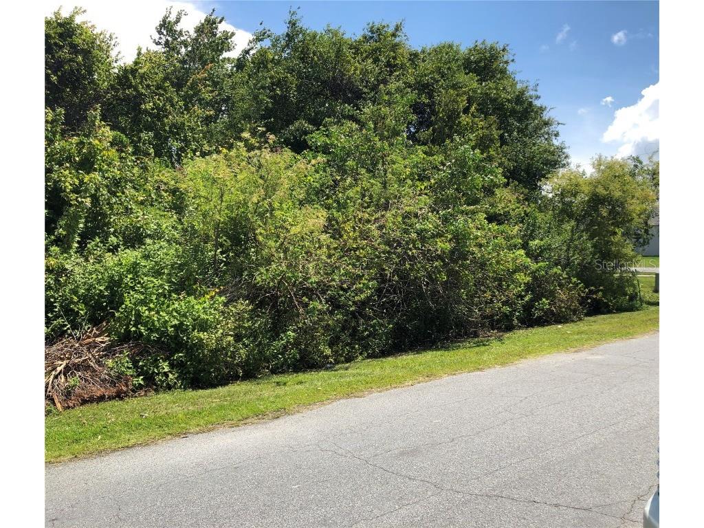 155 Brixham Court Kissimmee FL 34758 S5085917 image1