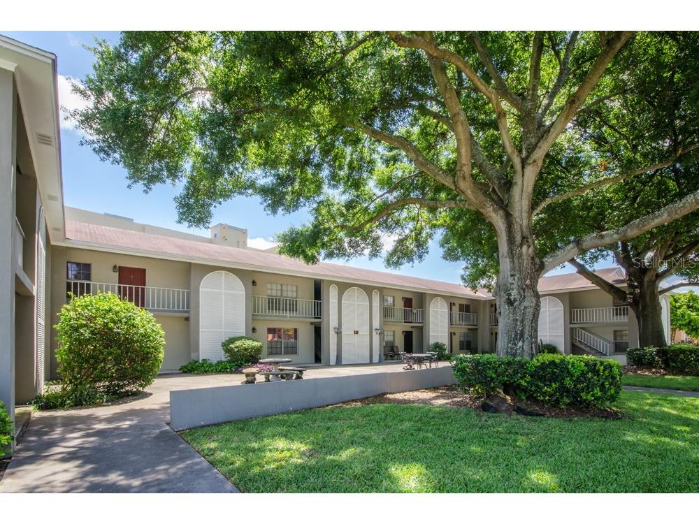 155 E Davis Boulevard #1 Tampa FL 33606 T3435203 image1