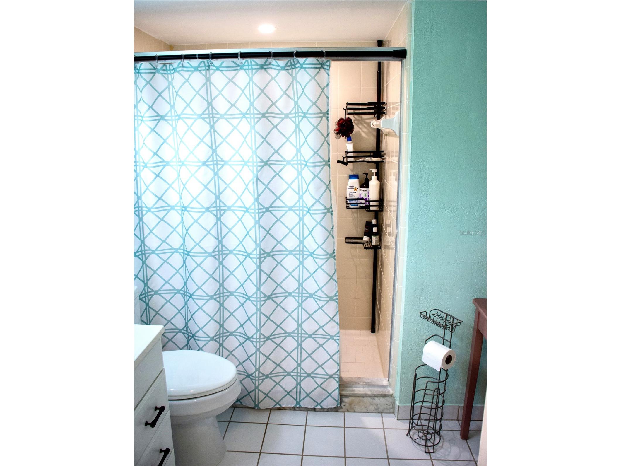 155 Fallwood Street Fern Park FL 32730 TB8484811 image24