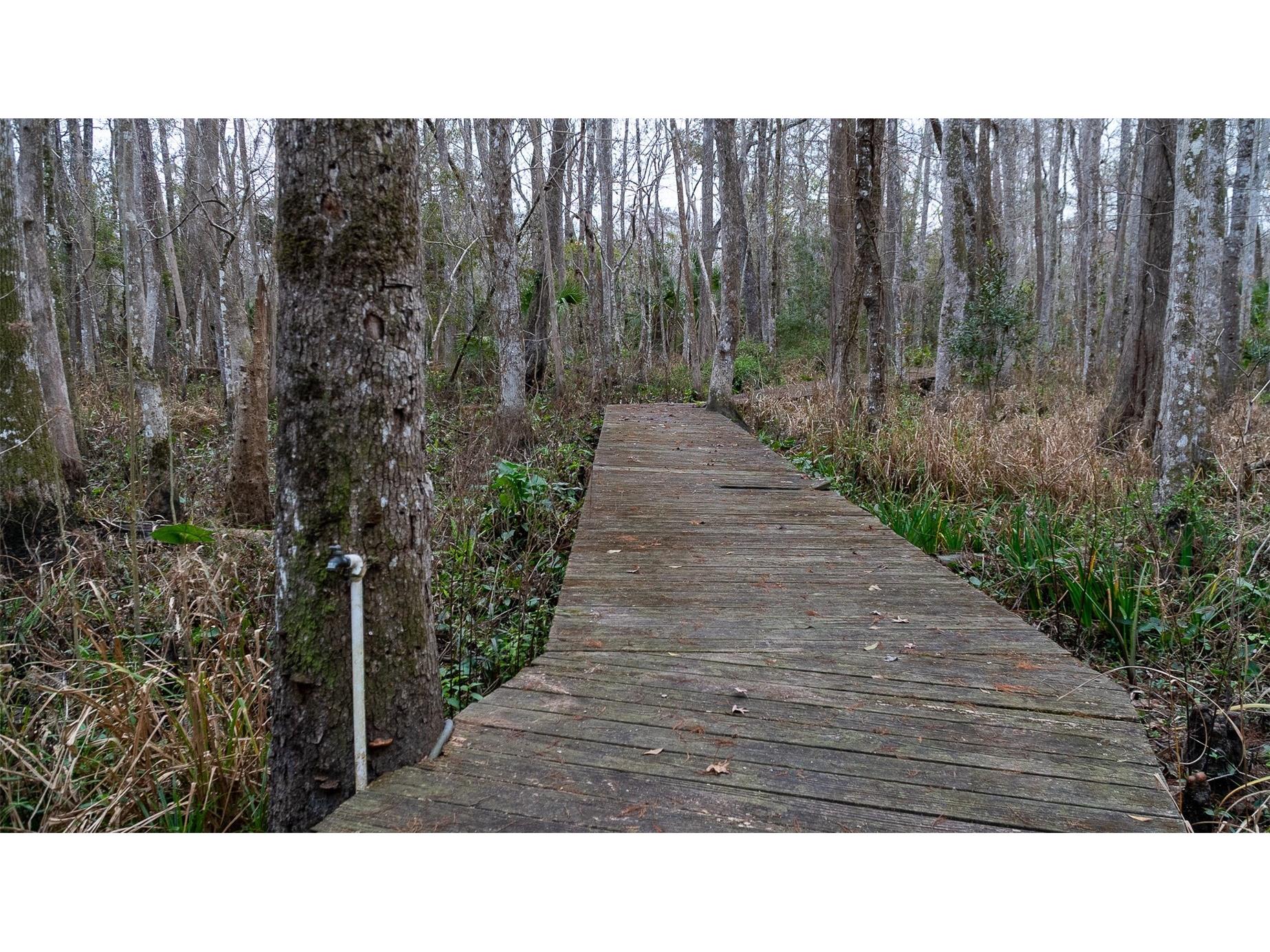 155 Fran Lane Satsuma FL 32189 - DUNNS CREEK FC315730 image10