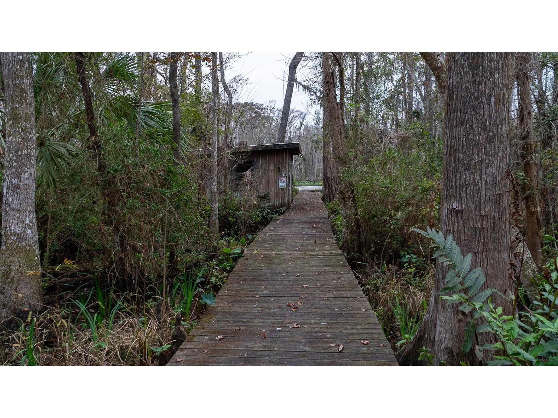 155 Fran Lane Satsuma FL 32189 - DUNNS CREEK FC315730 image11