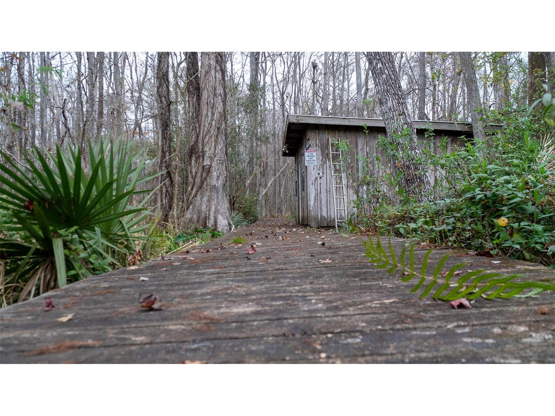 155 Fran Lane Satsuma FL 32189 - DUNNS CREEK FC315730 image14
