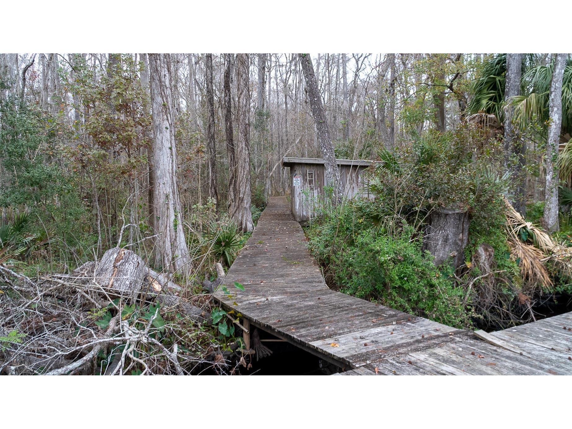 155 Fran Lane Satsuma FL 32189 - DUNNS CREEK FC315730 image17