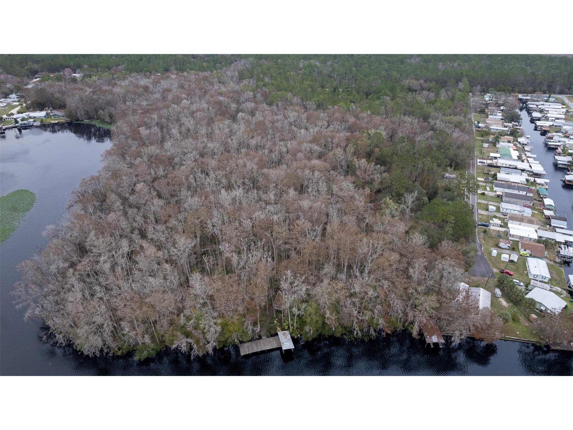 155 Fran Lane Satsuma FL 32189 - DUNNS CREEK FC315730 image19