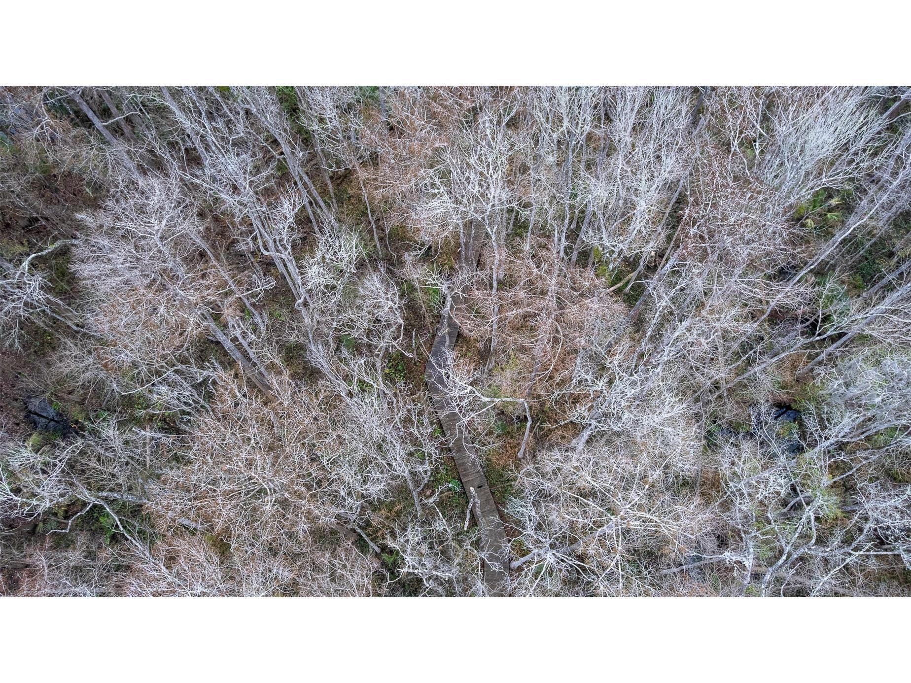 155 Fran Lane Satsuma FL 32189 - DUNNS CREEK FC315730 image24
