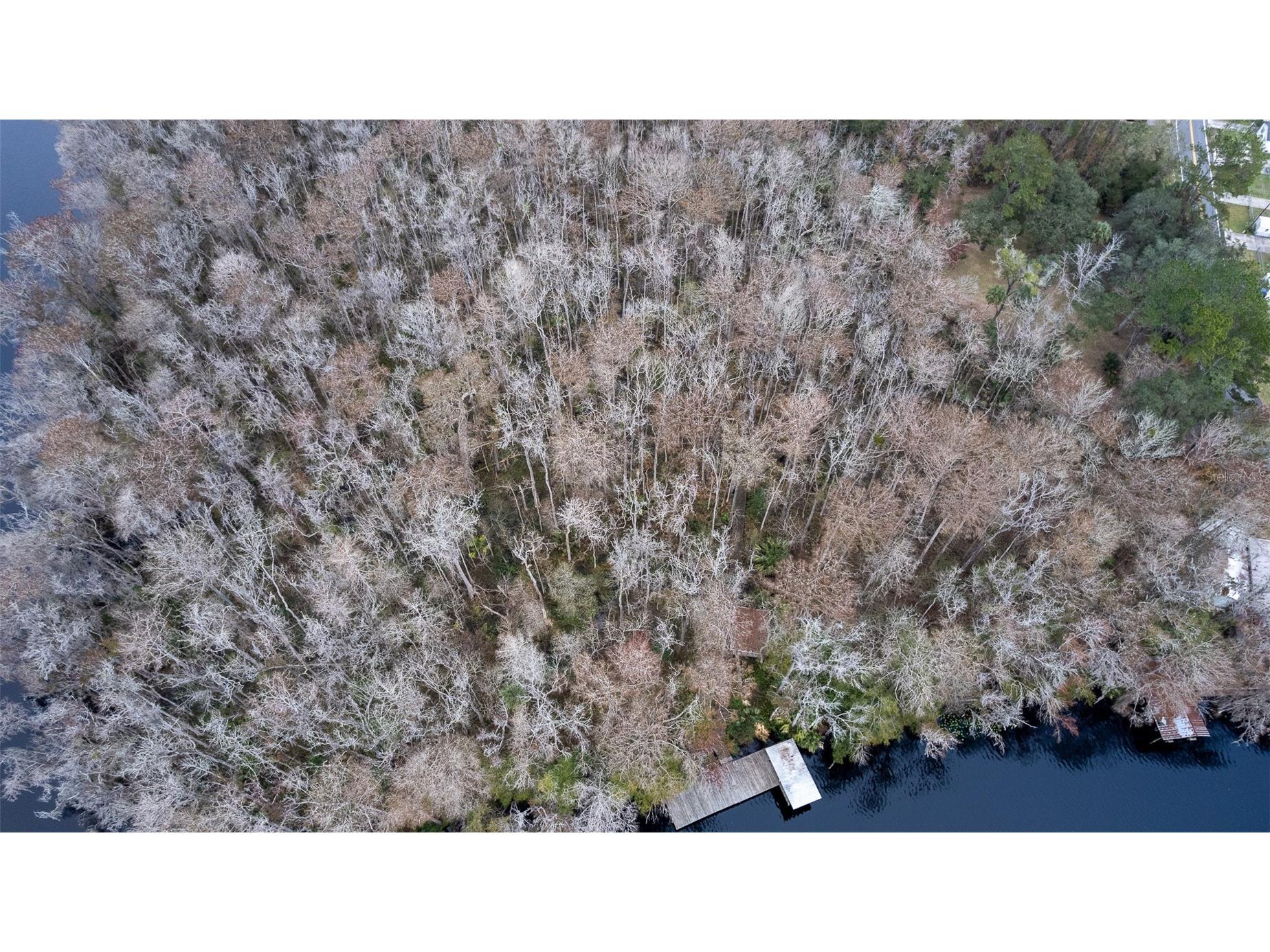 155 Fran Lane Satsuma FL 32189 - DUNNS CREEK FC315730 image25