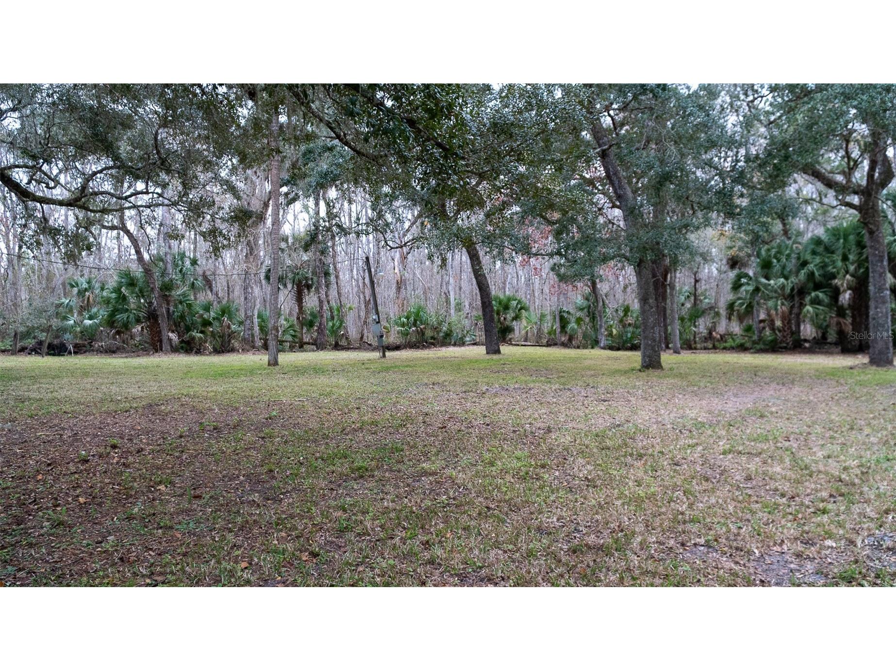 155 Fran Lane Satsuma FL 32189 - DUNNS CREEK FC315730 image3